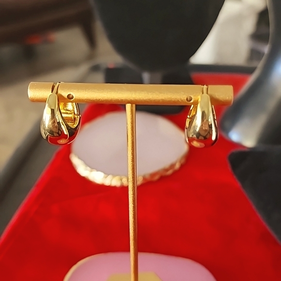 Goldtone Hoop Earrings - Picture 1 of 5